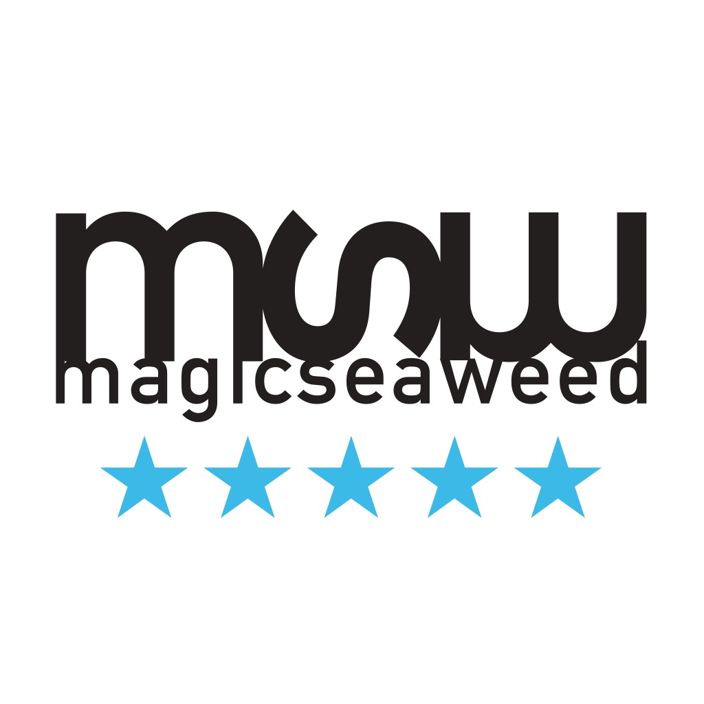 magic seaweed shop