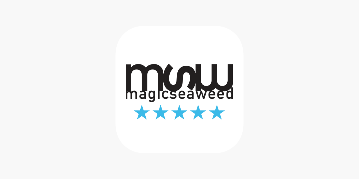 magic seaweed store