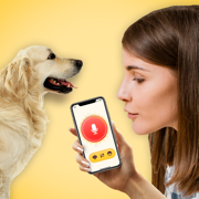 Dog Translator App