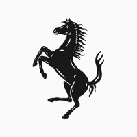 NoiFerrari