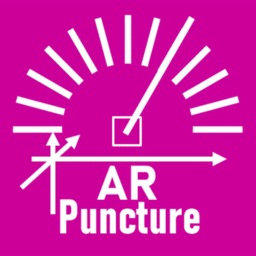 AR Puncture: Medical AR Viewer