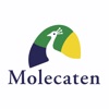 Molecaten