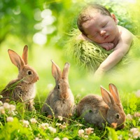 Baby Photo Editor ART