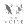 整体VOICE