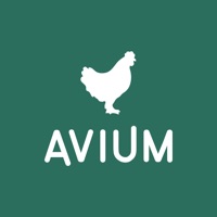 Avium