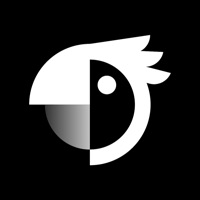 Story Parrot: Collage Maker