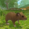老鼠模拟器3D-逃脱橘猫抓捕