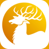 Deer Calls & Hunting Sounds - LW Brands, LLC