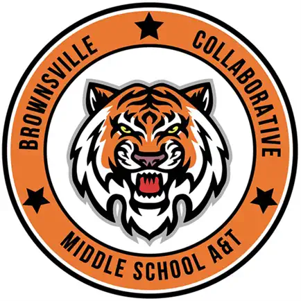 Brownsville Collaborative Cheats