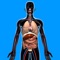 Test and evolve your information answering the questions and learn new knowledge about Human Anatomy by this app