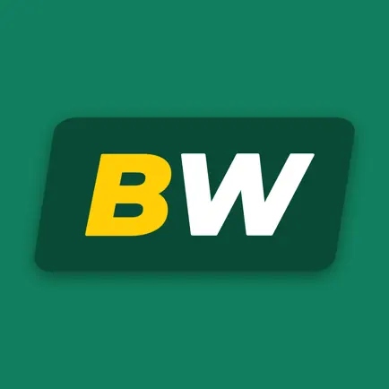 BW Football Stats Читы