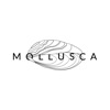 Mollusca – пивная масселерия