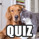 Cats  Dogs Quiz-Guess Breeds