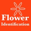 Flower Identification & Garden