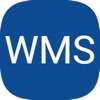 WMSystem