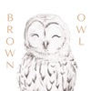 Brown Owl