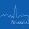 Icon Brussels Travel Guide .