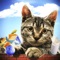 Kitten Cat Vs Rat Simulator 2018 is the amazing adventure game especially designed for children and families who want to enjoy