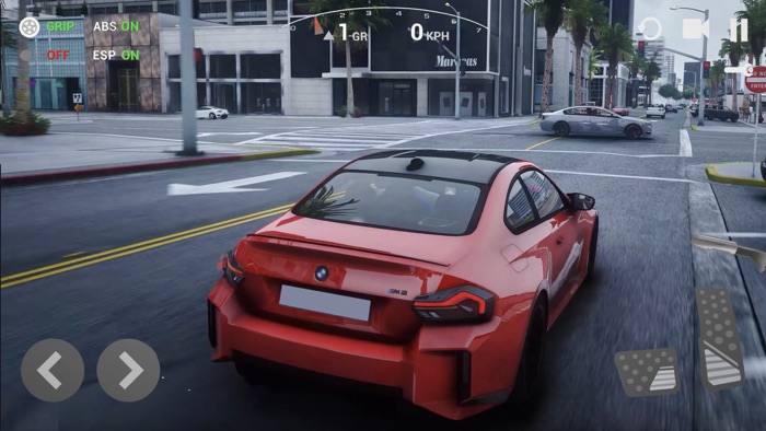 UCDS/ULTIMATE CAR DRIVING SIM