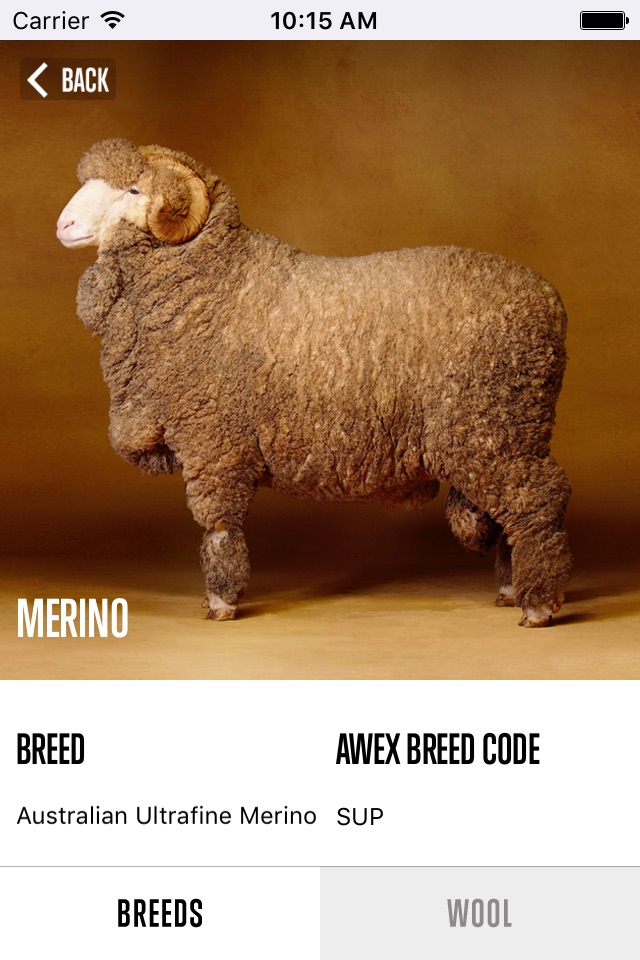 Sheep Breed Compendium by AWEX screenshot 3