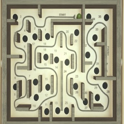 WoodenLabyrinthGame