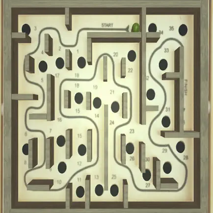 WoodenLabyrinthGame Читы