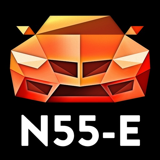 MHD N55 E-Series Icon