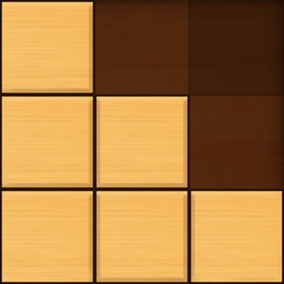 Wood Block Puzzle : Brain Game