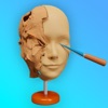 Sculpt Face 3D Squishy Clay