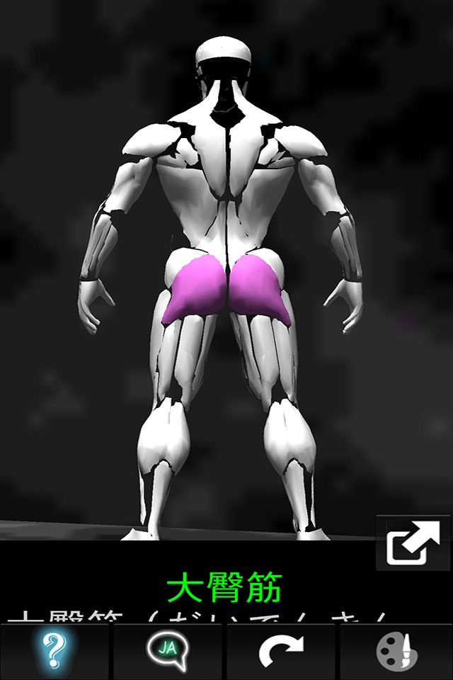 Muscular System 3D (anatomy) screenshot 3