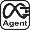 MegaFast Agent