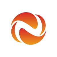 La pressa del gat volador