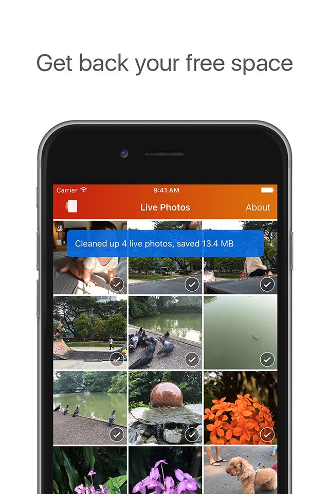 Lean - Clean up Live Photos screenshot 4