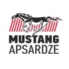 Mustang apsardze