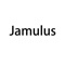 Jamulus enables musicians to perform in real-time together over the internet