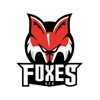 HCB Foxes