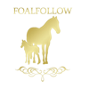 FoalFollow - Tone Liaboe