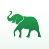 Зелений слон 7