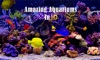 Amazing Aquariums In HD