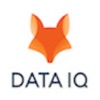 Data IQ Business Intelligence