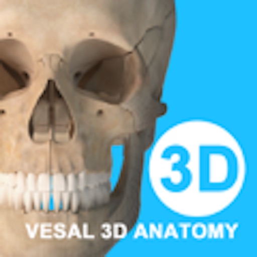 维萨里3D解剖教学/