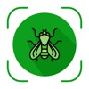 Bug Identifier - Insect Finder