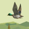 Duck Hunter - 3D Hunting Games