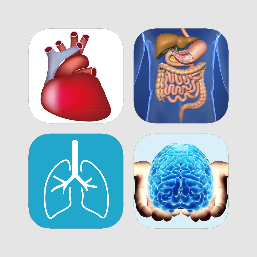Get Human Body Study Cards for iOS, iPhone, iPad Aso Report
