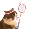 Cat Meme Sport