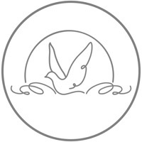 Trascender ServiciosFunerarios