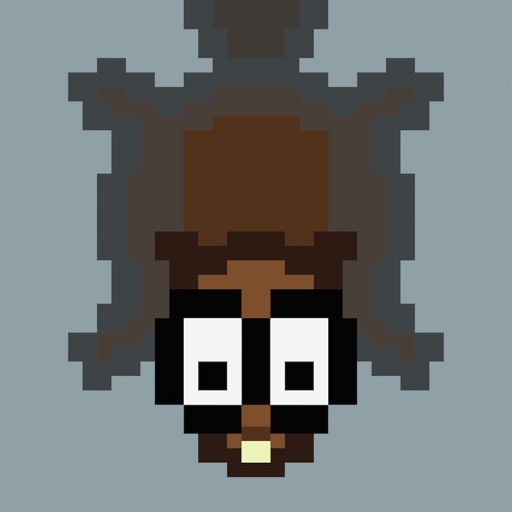 Beaver