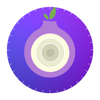 Purple Onion - Anonymous VPN - J C L TRAVELS INC