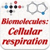 Biomolecules: Cell respiration