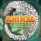 An augmented reality digital app that reveals where 3D animals are located around you when a quiz is correctly answered